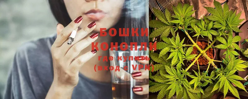 Где купить наркотики Гусь-Хрустальный ГАШ  Бошки Шишки  А ПВП  Меф  Cocaine 