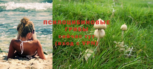 бошки Горнозаводск