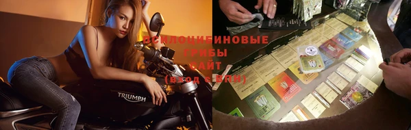 бошки Горнозаводск