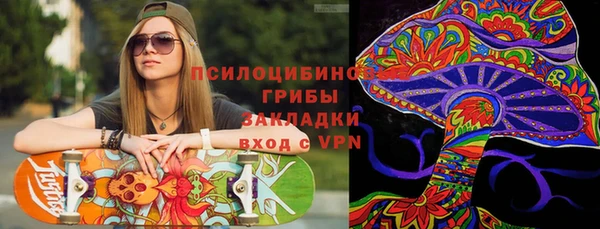 бошки Горнозаводск