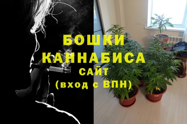 прущий лед Горно-Алтайск