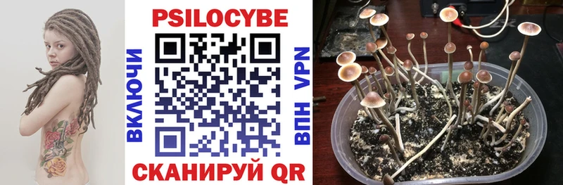 купить закладку mega ссылки Псилоцибиновые грибы Cubensis Гусь-Хрустальный