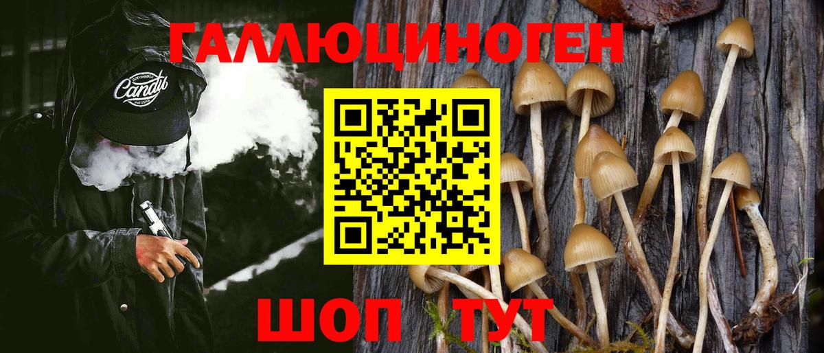 Псилоцибиновые грибы мицелий  Гусь-Хрустальный  где купить наркотик  Псилоцибиновые грибы Psilocybine cubensis 