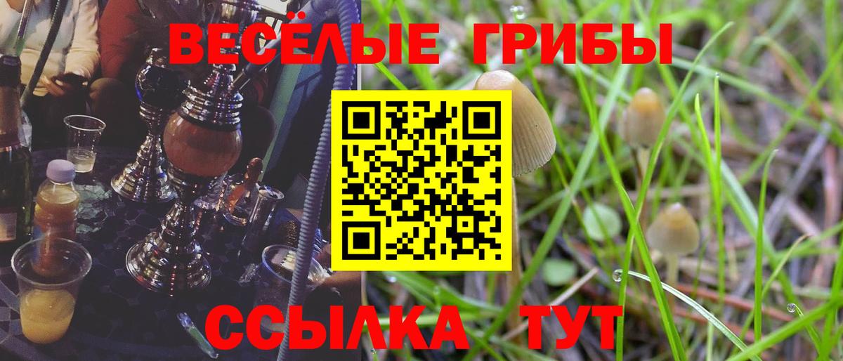 Гусь-Хрустальный  Галлюциногенные грибы Psilocybine cubensis  Псилоцибиновые грибы ЛСД  Вход с VPN 